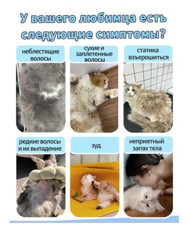 Schapun without washing for animals200 ml - Buy Online on GoSupps.com