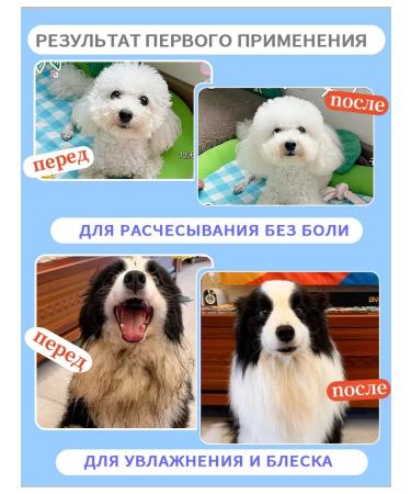 Schapun without washing for animals200 ml - Buy Online on GoSupps.com