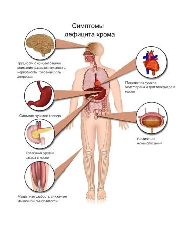 Kurortmedservice Picoline chromium for weight loss - Buy Online on GoSupps.com