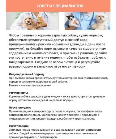 DILLY Dry food for active dogs 1 kg - Buy Online on GoSupps.com