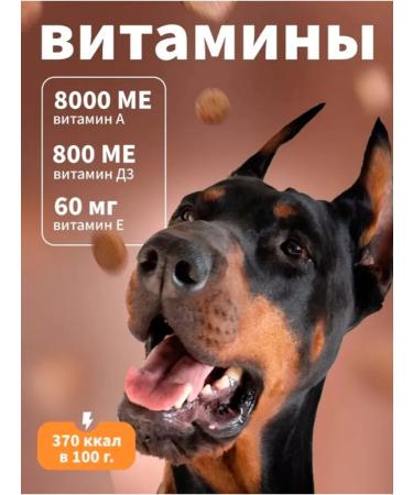 DILLY Dry food for active dogs 1 kg - Buy Online on GoSupps.com