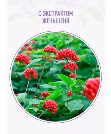 Syoss Balance shampoo for all hair types 2 pcs - Buy Online on GoSupps.com