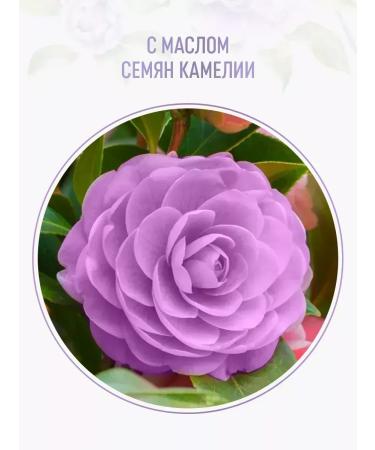 Syoss Shampoo + Blonde Balm neutralization of yellowness - Buy Online on GoSupps.com