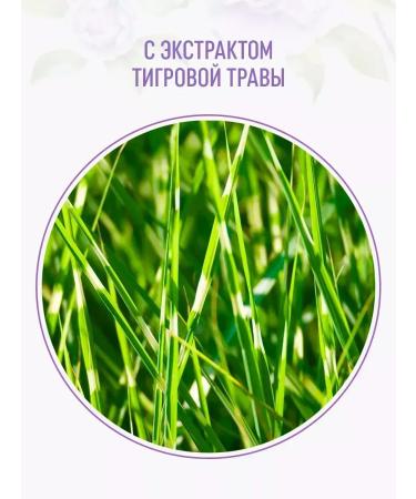 Syoss Shampoo + Full Hair 5 Balm for thin hair - Buy Online on GoSupps.com