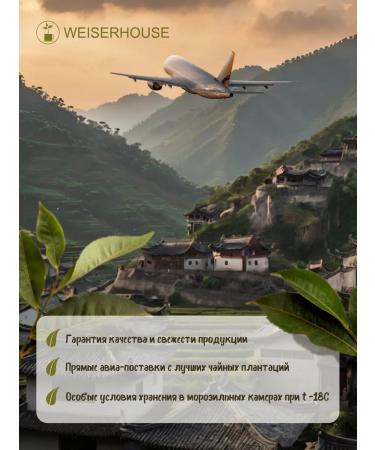 Weiserhouse Green Tea "Yin Lo" Silver spirals 200 grams - Buy Online on GoSupps.com