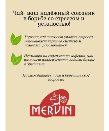 MERVIN Tea in bags 100 pcs green - Buy Online on GoSupps.com