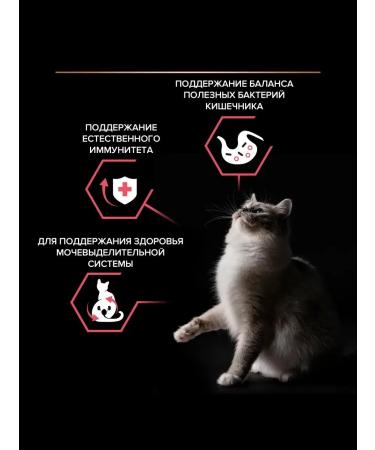 PRO PLAN Dry food for sterilized cats chicken 14 kg - Buy Online on GoSupps.com