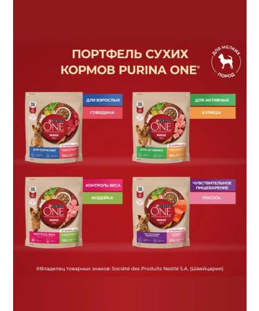 PURINA ONE Dry food mini "active" for small dogs chicken 14 kg - Buy Online on GoSupps.com