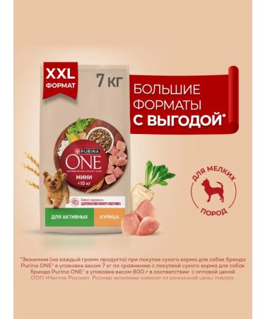 PURINA ONE Dry food mini "active" for small dogs chicken 14 kg - Buy Online on GoSupps.com