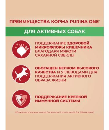 PURINA ONE Dry food mini "active" for small dogs chicken 14 kg - Buy Online on GoSupps.com