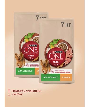 PURINA ONE Dry food mini "active" for small dogs chicken 14 kg - Buy Online on GoSupps.com