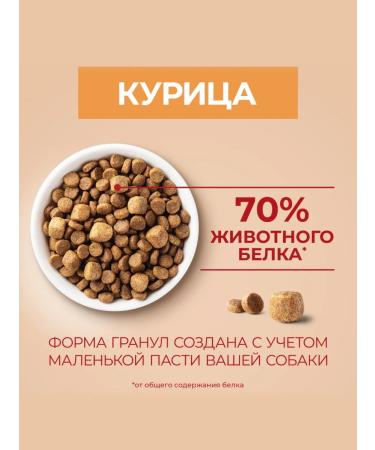 PURINA ONE Dry food mini "active" for small dogs chicken 14 kg - Buy Online on GoSupps.com