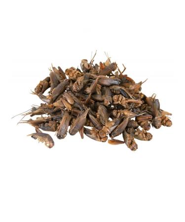 Avalanche of care Ducky grasshopper 100 grams animal delicacies - Buy Online on GoSupps.com