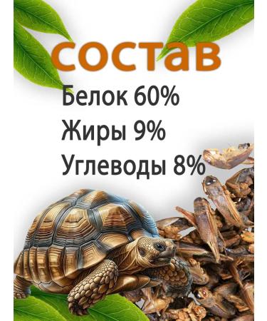 Avalanche of care Dried grasshopper 300 grams animal delicacies - Buy Online on GoSupps.com