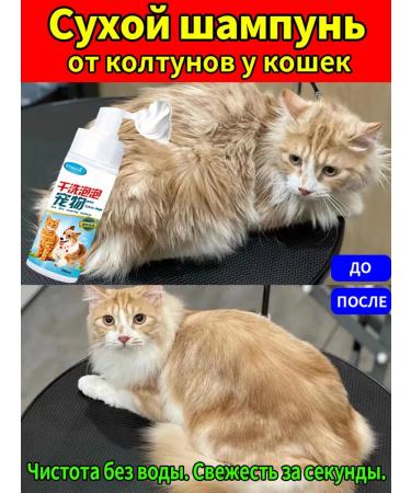Dry shampoo for cats without water 200 ml