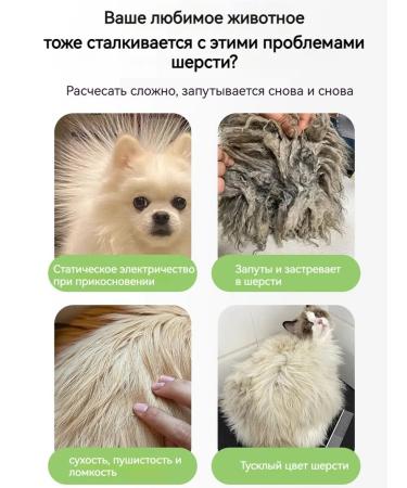 Dry shampoo for cats without water 200 ml - Buy Online on GoSupps.com