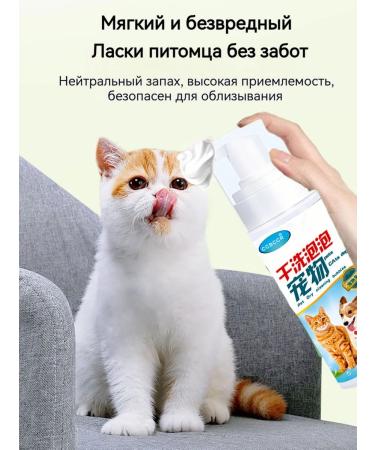 Dry shampoo for cats without water 200 ml - Buy Online on GoSupps.com