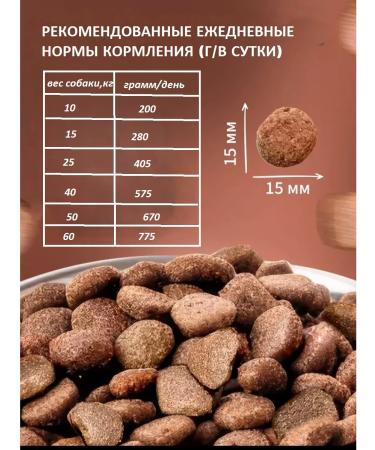 DILLY Dog foods dry turkey with rice 14 kg - Buy Online on GoSupps.com