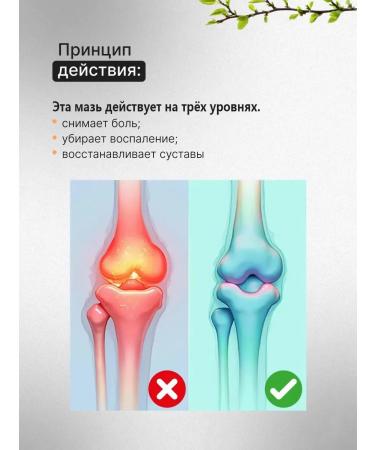 joint ointment from pain Chinese - Buy Online on GoSupps.com