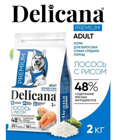 Delicana Dry food for dogs of medium breeds salmon with rice 2kg