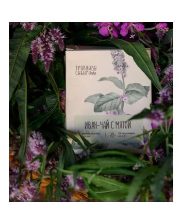 Herbalists of Siberia Ivan tea with mint in a box pyramids 20 pcs - Buy Online on GoSupps.com