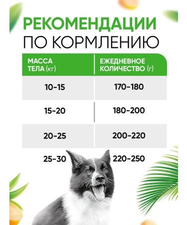 Delicana Dry food for dogs of medium breeds lambs with rice 2kg - Buy Online on GoSupps.com