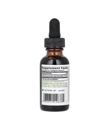 Nature's Way Echinacea 30 ml - Buy Online on GoSupps.com