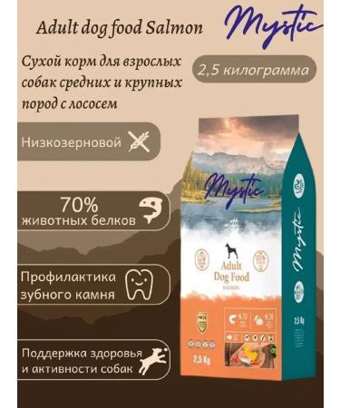Mystic Dry food for dogs of medium large breeds with salmon 2.5 kg