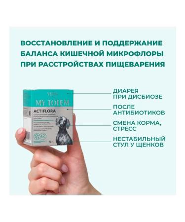VEDA My Totem Actiflora Complex of Probitics for Dogs 10x1g UP - Buy Online on GoSupps.com