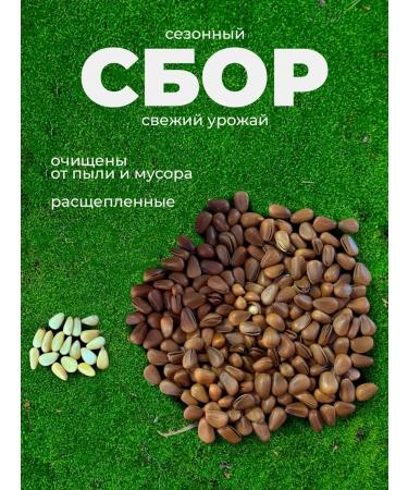 Cedar nuts in a shell of 2 kg Unpeeled crop 2024 - Buy Online on GoSupps.com