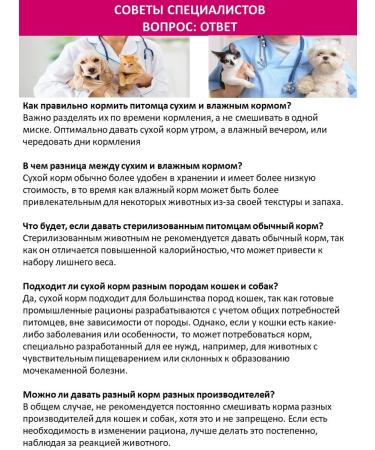 BLITZ Wet feed for cats 85g x 10pcs turkey with chicken in jelly - Buy Online on GoSupps.com