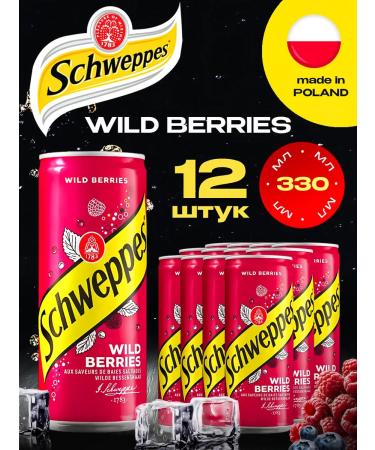 Schweppes Poland Schweppes drink forest berries (Poland) 12 pcs. 0.33 l.