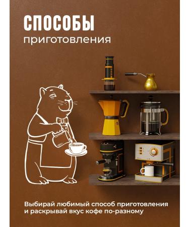 Let's BrewBrew Coffee in 250g Capibara Coffee Espresso Blend - Buy Online on GoSupps.com