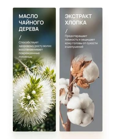 Q'MEN Hair shampoo Strength and strengthening for growth 410 ml - Buy Online on GoSupps.com