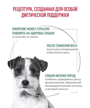 ROYAL CANIN Dry food for dogs of small rocks SATITY 1.5 kg - Buy Online on GoSupps.com