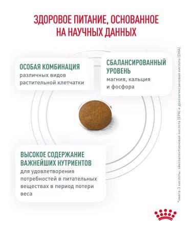 ROYAL CANIN Dry food for dogs of small rocks SATITY 1.5 kg - Buy Online on GoSupps.com