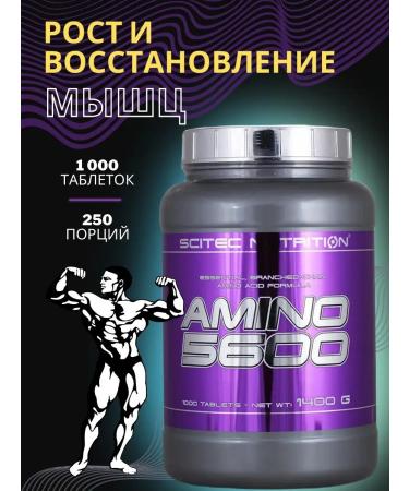 Scitec Nutrition Amino acid complex Amino 5600 1000 Tab - Buy Online on GoSupps.com
