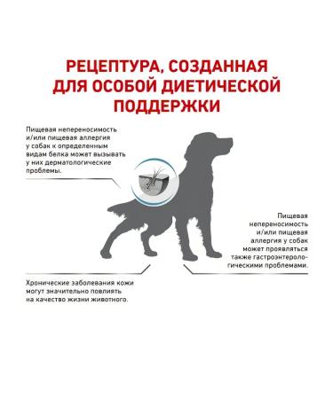 ROYAL CANIN Dry feed anallergenic an 18 with food allergies 3kg - Buy Online on GoSupps.com