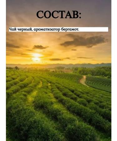 Greetings Earl Grey tea is black 2 packs of 100 bags - Buy Online on GoSupps.com