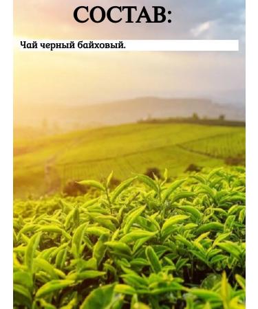 Greetings Classic tea black loaf 1 pack 100 bags - Buy Online on GoSupps.com