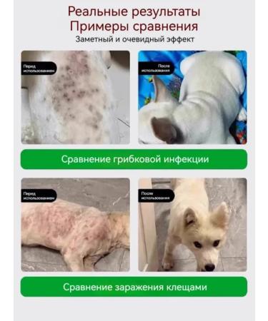 From dermatitis for dogs and cats 100 ml - Buy Online on GoSupps.com