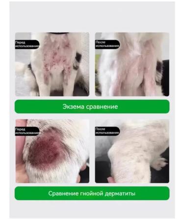 From dermatitis for dogs and cats 100 ml - Buy Online on GoSupps.com