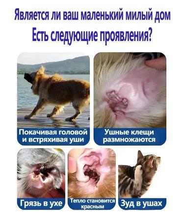 Drops from the ear tick for a koshk and a dog in the ears 60 ml - Buy Online on GoSupps.com