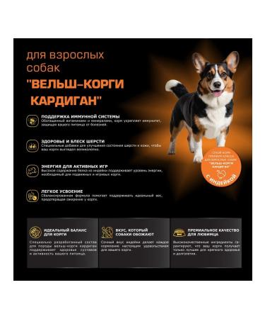Quattro Feed for dogs of the breed velsh cargi cardigan turkey 2.5 kg - Buy Online on GoSupps.com