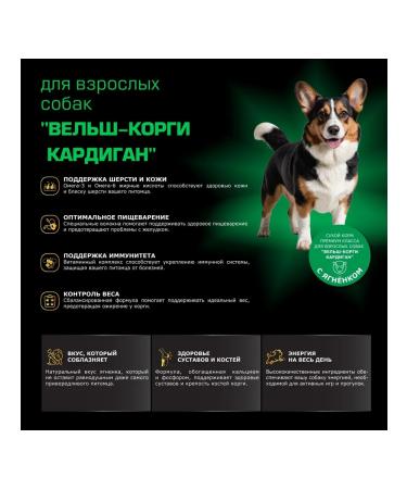 Quattro Feed for dogs of the breed velsh cargi cardigan lamb 12 kg - Buy Online on GoSupps.com