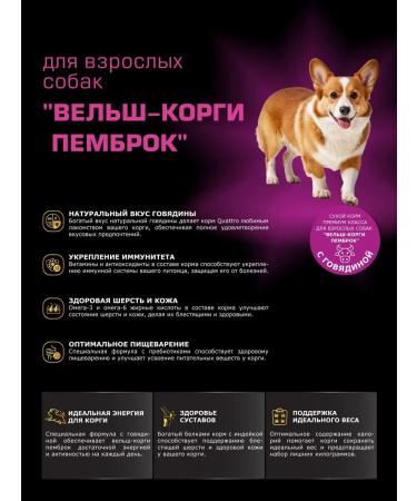 Quattro Feed for dogs of the breed velsh cargi pembrocro beef 2.5 kg - Buy Online on GoSupps.com