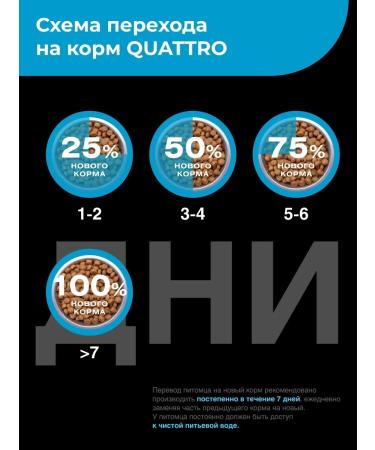 Quattro Feed for dogs of the breed velsh corgi pembrok with salmon 12 kg - Buy Online on GoSupps.com