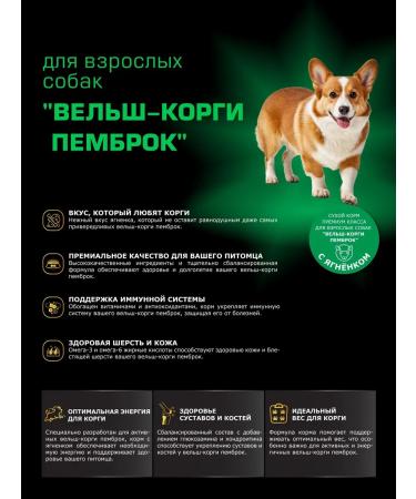 Quattro Feed for dogs of the breed velsh cargi pembrok lamb 2.5 kg - Buy Online on GoSupps.com