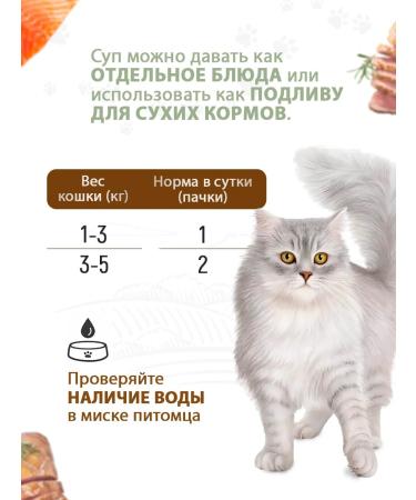 Country delicacies Cat soup from duck with salmon 1 packaging (4 x 35 g) - Buy Online on GoSupps.com