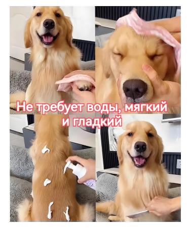 Universal dry foam cleaning for cats and dogs - Buy Online on GoSupps.com